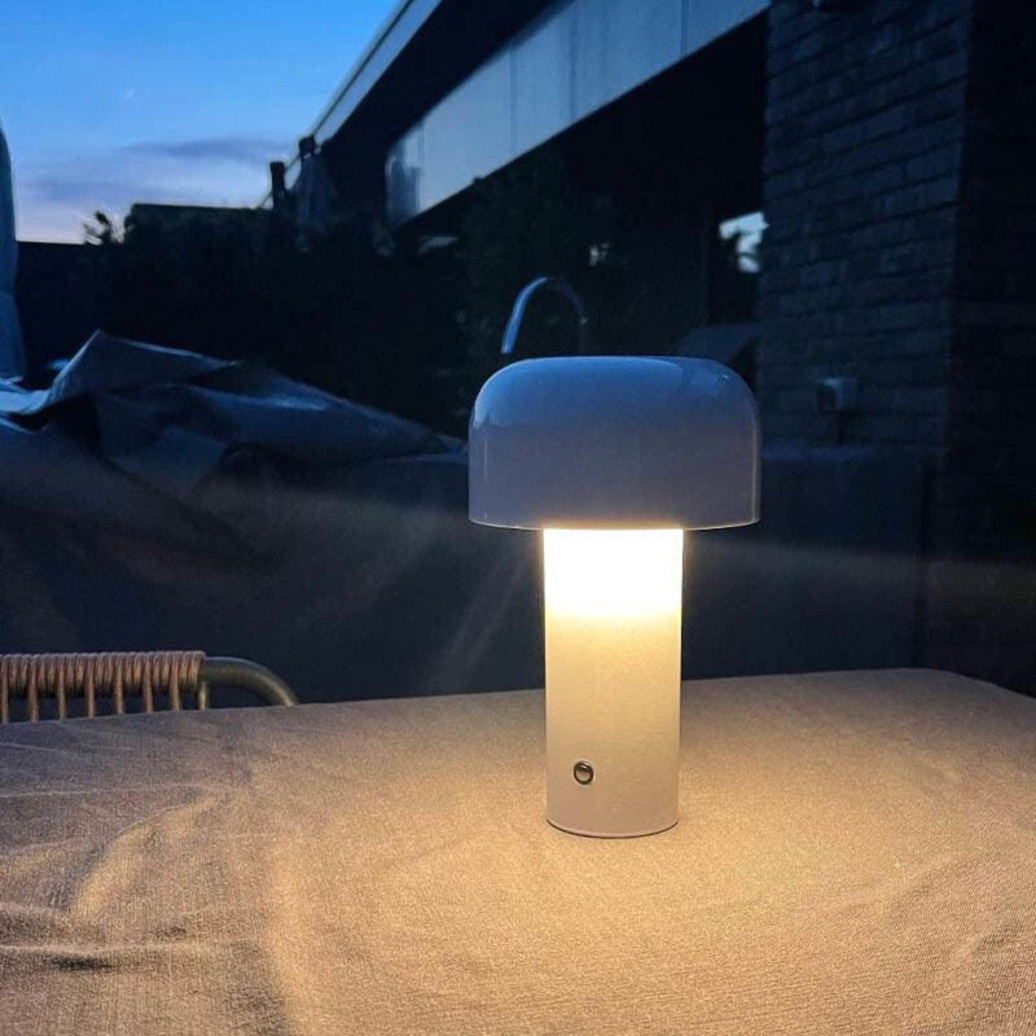 MushLight Mini Pilzlampe