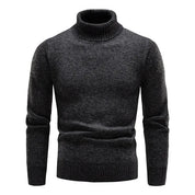 Moderner Rollkragenpullover